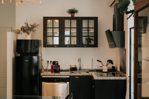 a kitchen with black cabinets and a black refrigerator at Casa da Catedral Jerónimo in Badajoz