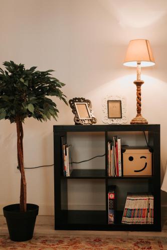 a black book shelf with a lamp and a plant at Casa da Catedral Jerónimo in Badajoz