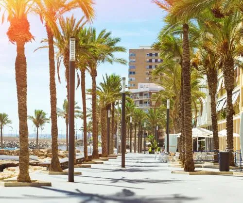 Apartamenty Deluxe - Los Naufragos -Torrevieja Costa Blanca photo 73