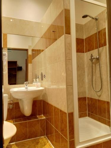 a bathroom with a sink and a shower at Beta Pension in Prague