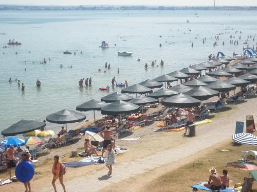 Afbeelding uit fotogalerij van Apartments Zora in Nin