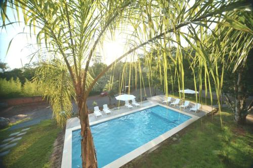 a swimming pool with chairs and a palm tree at Tekoa Lodge in Puerto Iguazú