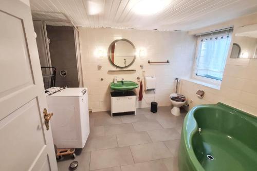 a bathroom with a green tub and a toilet at Work & Stay apartment Vohburg near Ingolstadt in Vohburg an der Donau