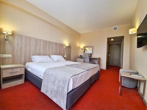 Cama ou camas em um quarto em SPA-Hotel SINDICA