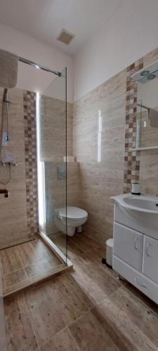 a bathroom with a shower and a toilet and a sink at Forrás Fogadó in Bükkszék