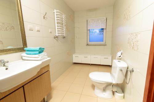 uma casa de banho com um WC, um lavatório e um espelho. em Orion Hotel Parczew em Parczew