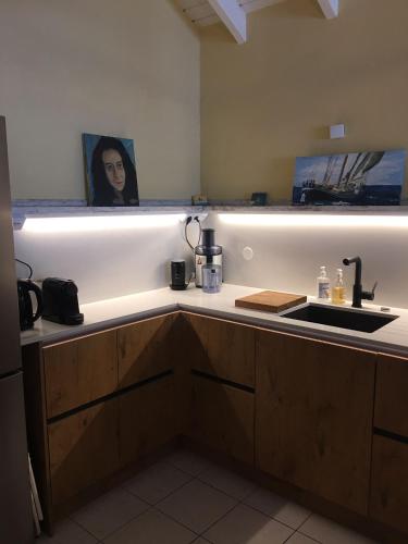 a kitchen with a counter top with a sink at Villa CECILIA in Oyster Pond