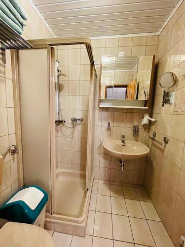a small bathroom with a shower and a sink at Alpenpension Gasthof in Ratten