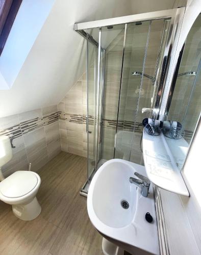 a bathroom with a shower and a toilet and a sink at Kántás Vendégház Tihany in Tihany