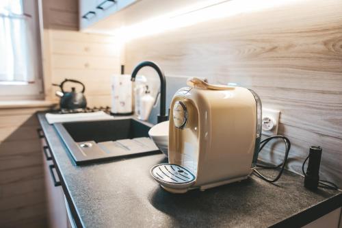 a toaster sitting on a kitchen counter next to a sink at sosnowelowe in Lamkowo