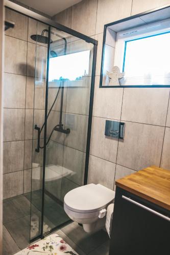 a bathroom with a toilet and a glass shower at sosnowelowe in Lamkowo