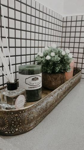 a shelf with some plants and boxes on it at Snow View Suite סוויטת סנו וויו in Majdal Shams