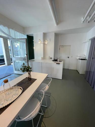 Main Station Design Loft Style Apartment