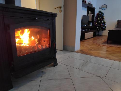 a fireplace in a living room with a christmas tree at Apartment Knez in Kolašin
