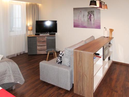 TV a/nebo společenská místnost v ubytování Apartment Horní Mísečky - HMS120 by Interhome