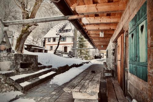冬のRafting Camp Palfauの様子