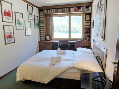 - une chambre avec un lit, une fenêtre et des étagères dans l'établissement Apartment Chesa Sonnalpine B 46 by Interhome, à Saint-Moritz