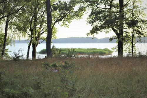 a field of grass with trees and a body of water at Yxkullsund Säteri B&B - Manor & Estate since 1662 in Lagan
