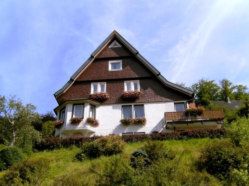 ein Haus mit einem Gamerleitdach auf einem Hügel in der Unterkunft Apartment Maier-1 by Interhome in Triberg