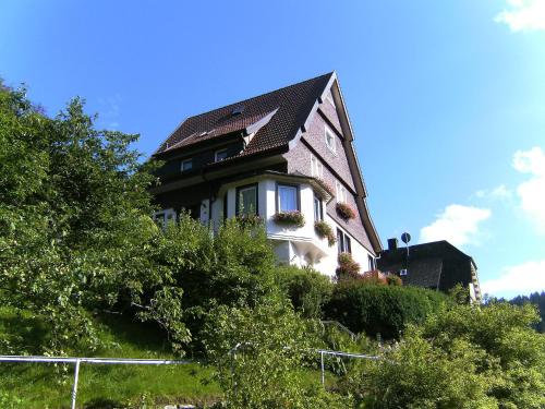 ein Haus auf einem Hügel in der Unterkunft Apartment Maier-1 by Interhome in Triberg