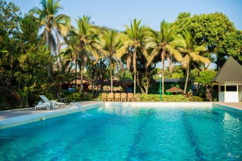 - une piscine bordée de chaises et de palmiers dans l'établissement Village Noah, à Yaoundé