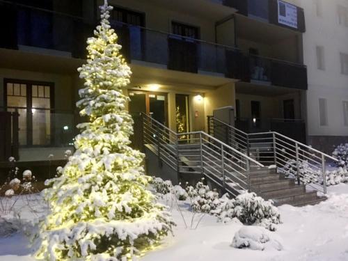 ポラニツァ・ズドルイにあるApartment Willa Maria by Interhomeの雪の中のクリスマスツリー