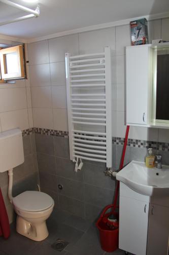 Ett badrum på Brvnara Zlatibor Tornik