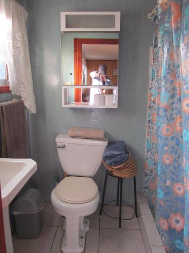 a bathroom with a toilet and a person taking a picture at Cabaña Cerezo in Guayacán