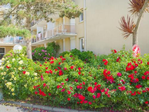 a garden of red flowers in front of a building at Studio Ty Avel-1 by Interhome in Quiberon