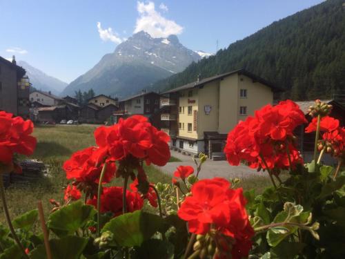 un gruppo di fiori rossi con una montagna sullo sfondo di Apartment Enzian by Interhome a Saas-Grund