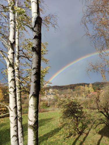 a rainbow in the sky over a field with trees at Šumarak Lodge in Sarajevo