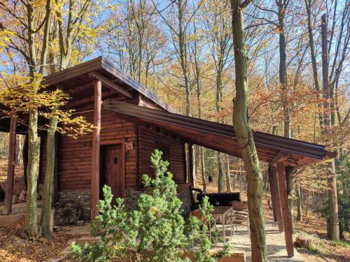 a log cabin in the woods at Šumarak Lodge in Sarajevo