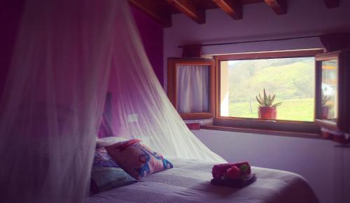 1 dormitorio con cama con dosel y ventana en La Galayca, en El Barcenal
