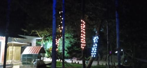 a street light with christmas lights at night at NIDHIVANA FARMS & RESORT, bakrebail-salethoor rd, Mangalore in Mangalore