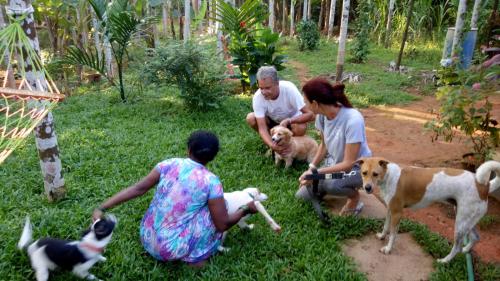 a group of people playing with dogs in the grass at NIDHIVANA FARMS & RESORT, bakrebail-salethoor rd, Mangalore in Mangalore