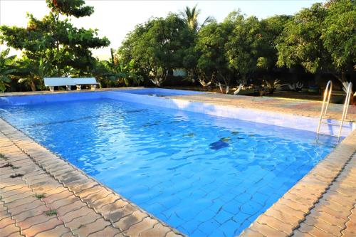 a blue swimming pool with trees in the background at Wilderness Camp 200mtr from Devaliya Park in Sasan Gir