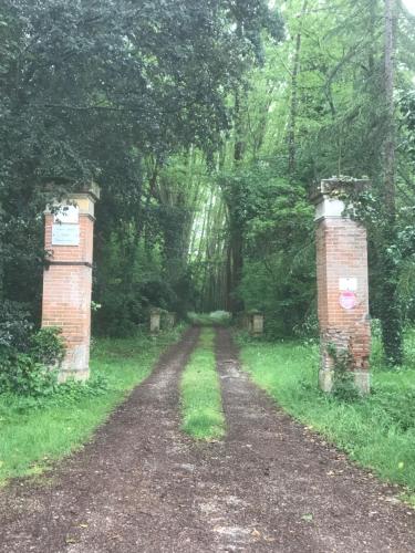 un chemin de terre avec deux piliers en briques dans les bois dans l'établissement la Chartreuse du Domaine de la Graulet, à Bergerac