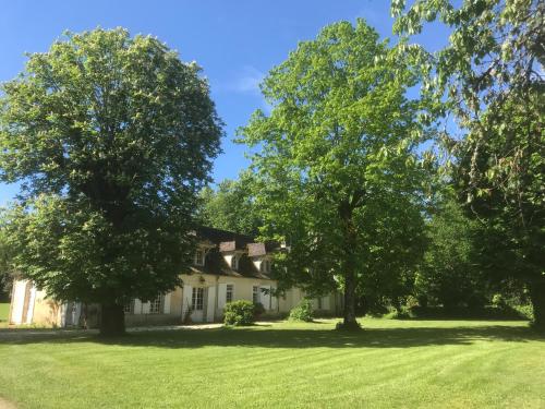 a house with trees in the yard at La Chartreuse et son Orangerie in Bergerac