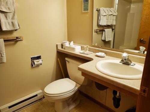 a bathroom with a toilet and a sink at Homestead Suites - Fish Creek in Fish Creek