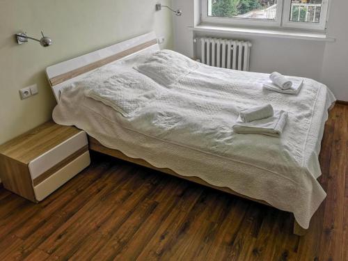 Postel nebo postele na pokoji v ubytování Apartament Wisła Centrum