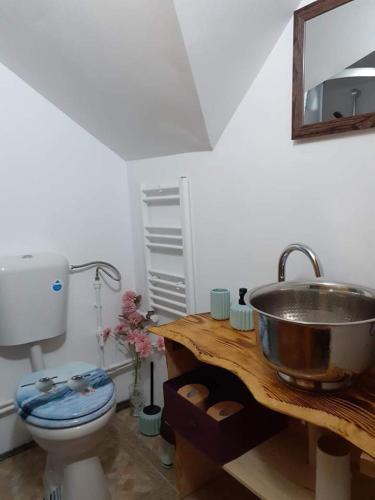 Ένα μπάνιο στο Pensiunea Floarea Dornei