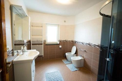 a bathroom with a sink and a toilet and a shower at Casa Giorgiana in Statiunea Borsa