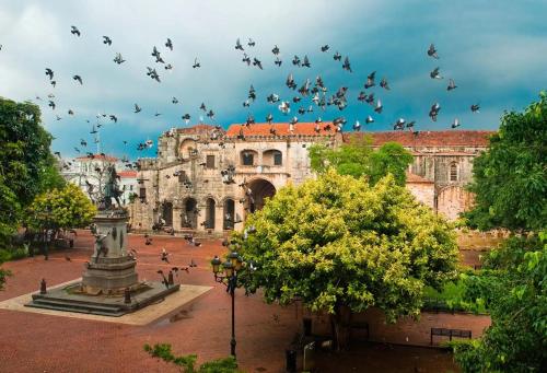 a flock of birds flying in the sky over a building at GAVA hostel in Punta Cana