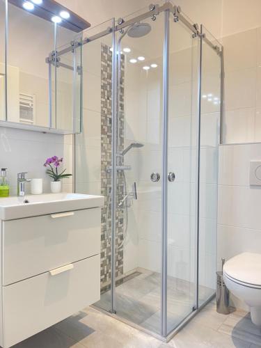 La salle de bains est pourvue d'une cabine de douche en verre et de toilettes. dans l'établissement BIG Apartment Vienna, à Vienne