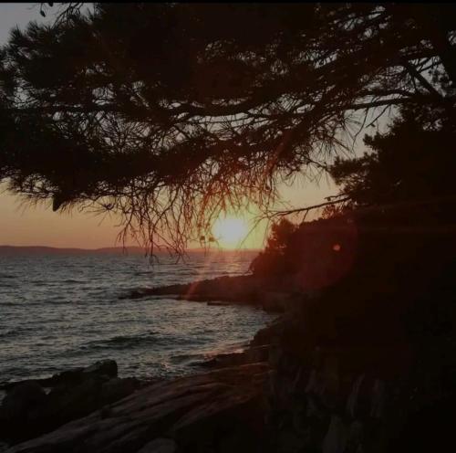 a sunset over the ocean with a tree at Robinzonska kučica in Cunski