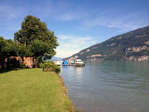 a body of water with boats docked next to a mountain at Haus am See II in Därligen