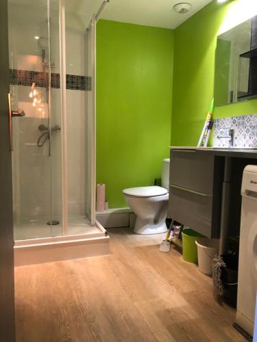 La salle de bains verte est pourvue de toilettes et d'une douche. dans l'établissement DUPLEX F3 - CENTRE ROUEN - 5 Lits, à Rouen