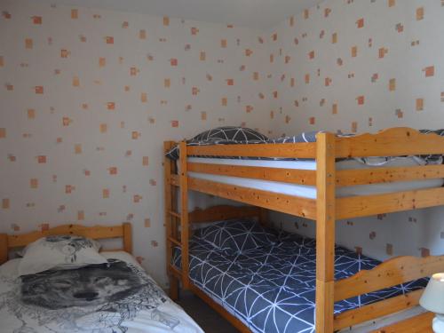 1 dormitorio con 2 literas en una habitación en Gîte Neuillay-les-Bois, 3 pièces, 5 personnes - FR-1-591-104, en Neuillay-les-Bois