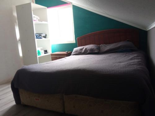 科金博的住宿－Los Arrayanes Hostel，一间卧室设有一张大床和绿色的墙壁