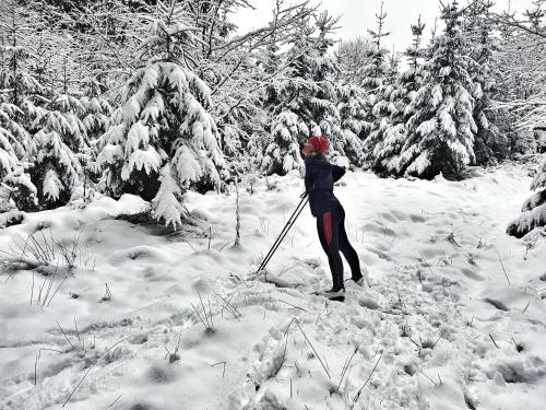 a person standing on skis in the snow at Dřevěný prázdninový domek SUNRISE in Stará Huť